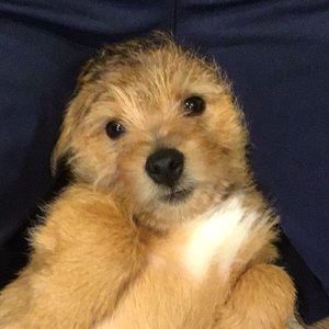 Meet your Posher, Jacob